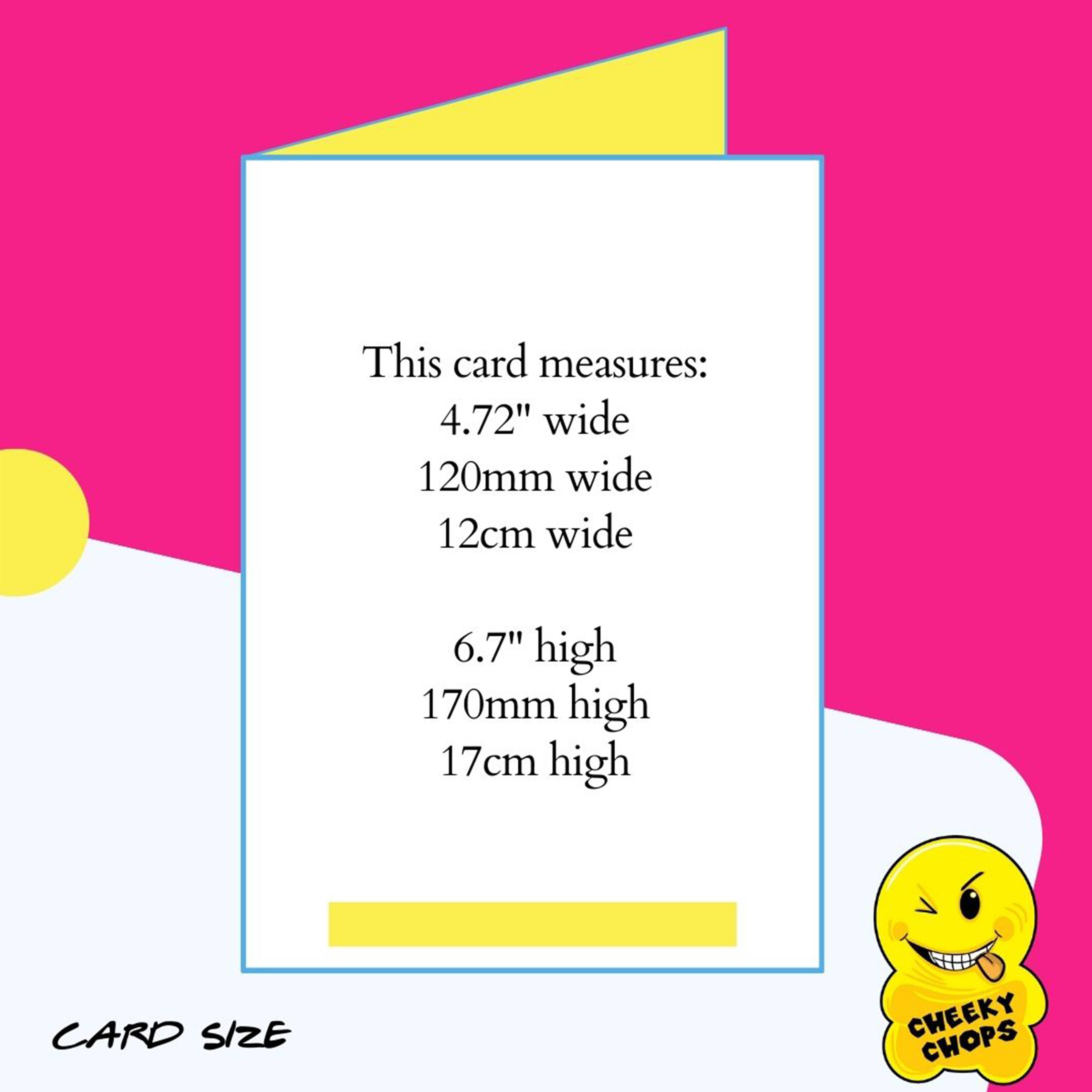 Funny Valentine's card You Make My Minge Twinge V204