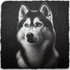 Dog Themed Slate Coasters (H-L)