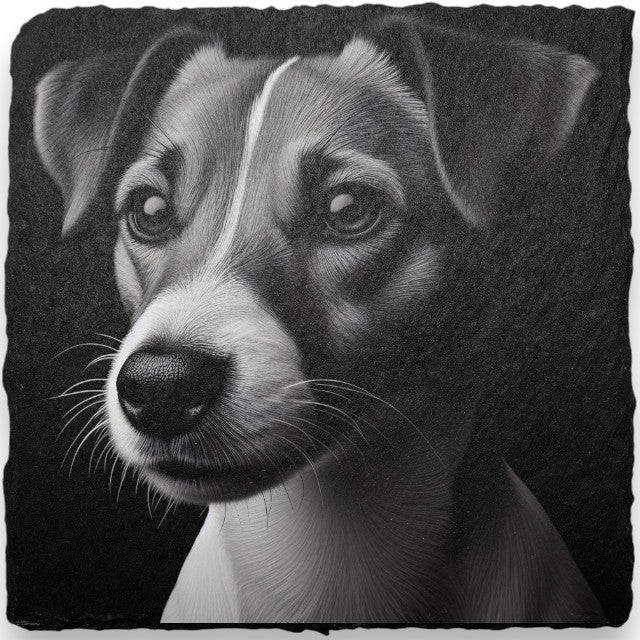 Dog Themed Slate Coasters (H-L)