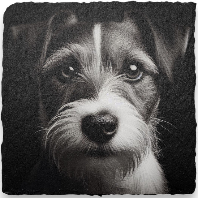 Dog Themed Slate Coasters (H-L)