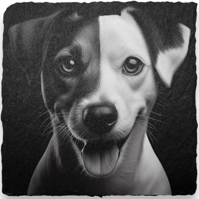 Dog Themed Slate Coasters (H-L)