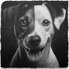 Dog Themed Slate Coasters (H-L)