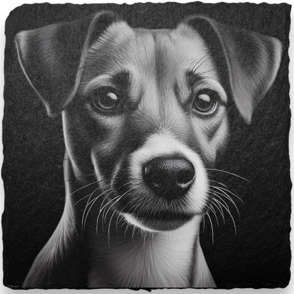 Dog Themed Slate Coasters (H-L)