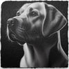 Dog Themed Slate Coasters (H-L)