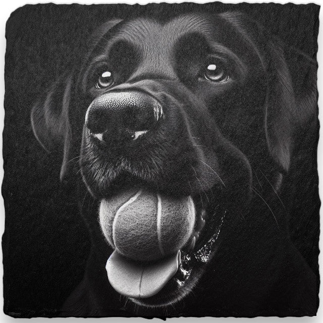 Dog Themed Slate Coasters (H-L)