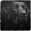 Dog Themed Slate Coasters (H-L)