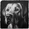 Dog Themed Slate Coasters (H-L)