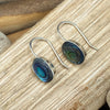Shell Hook Earrings