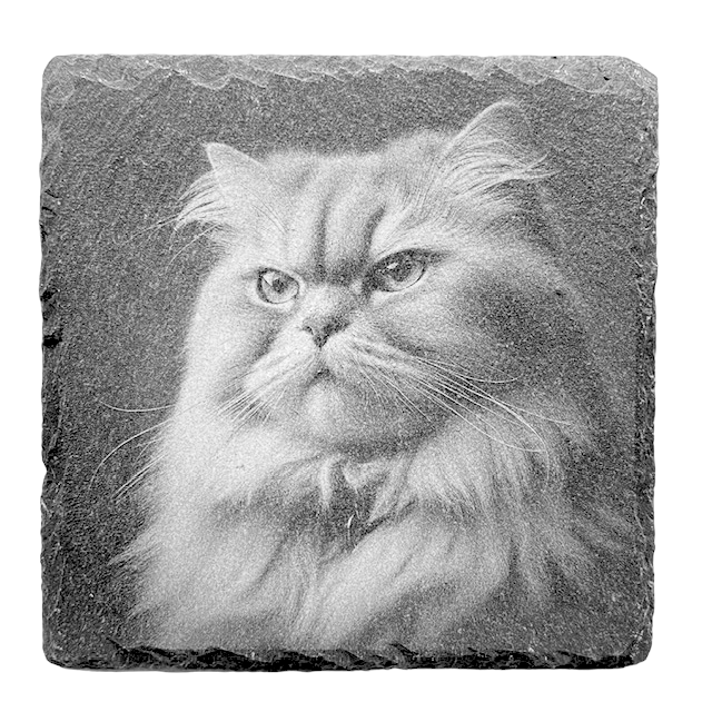 Cat on Slate Coaster