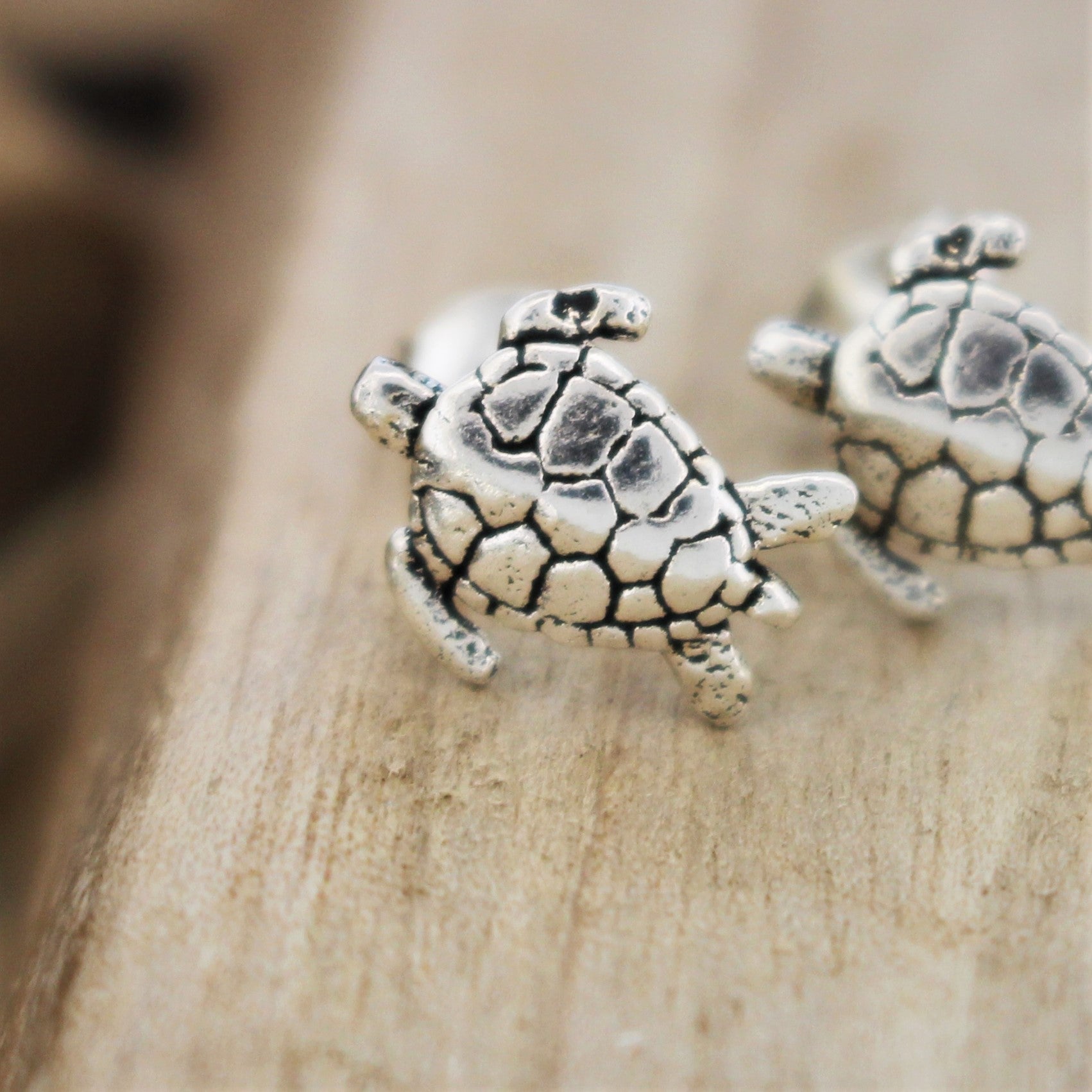 Silver Turtle Studs