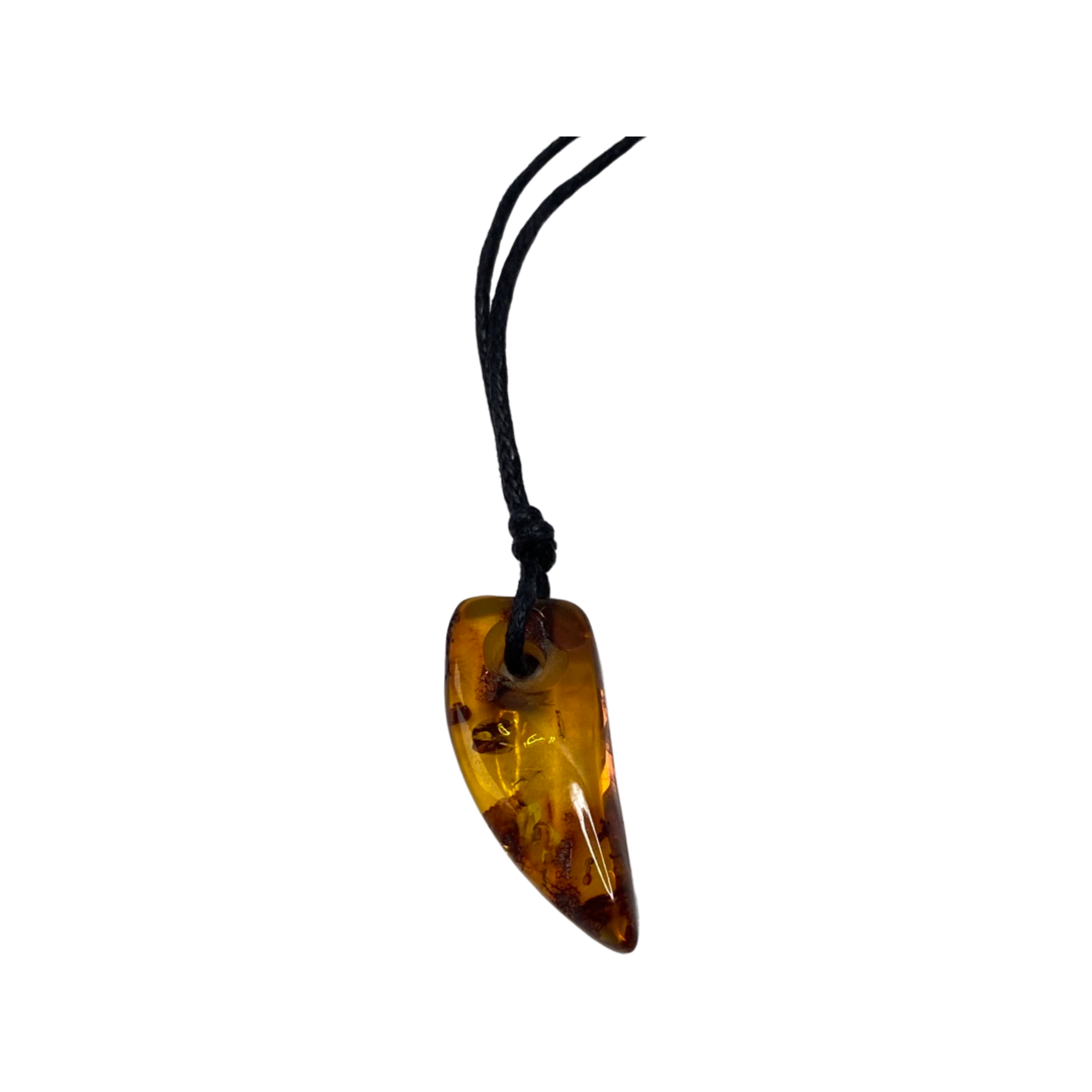 Amber Shark Tooth